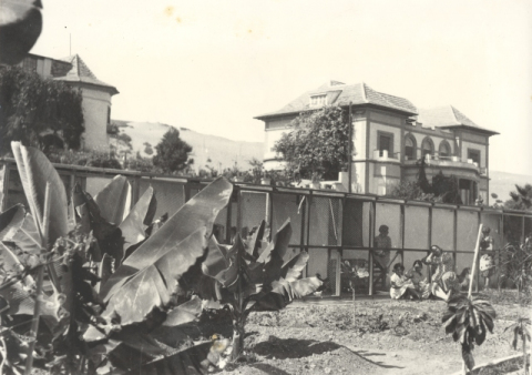 CHALETS EN CIUDAD JARDÍN
