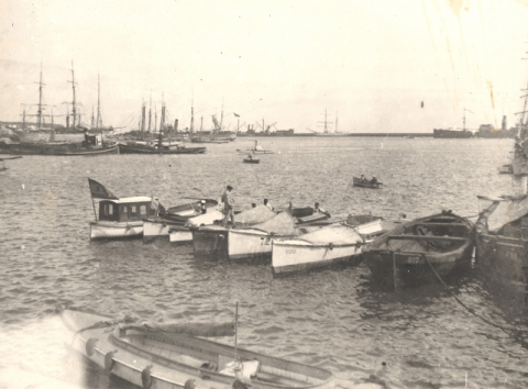 BARQUILLAS EN SANTA CATALINA