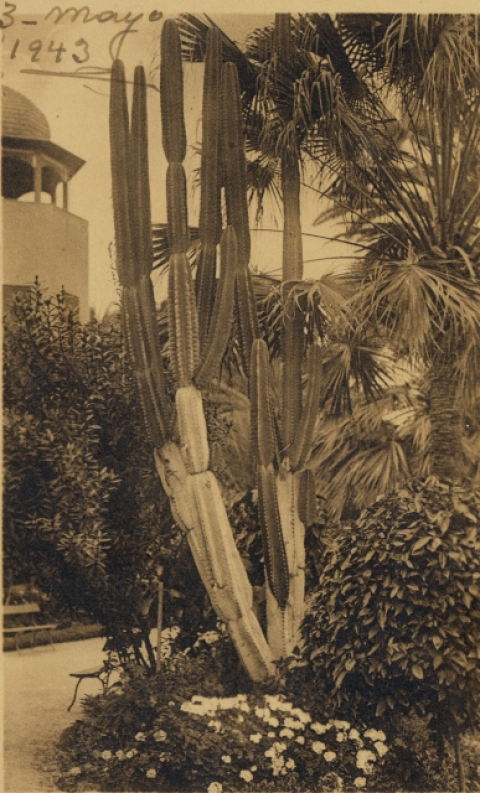 HOTEL SANTA CATALINA, JARDINES