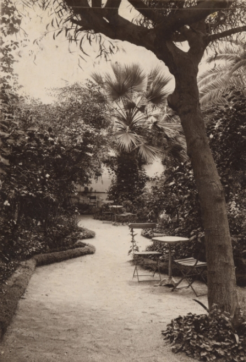 JARDÍN DEL HOTEL CONTINENTAL