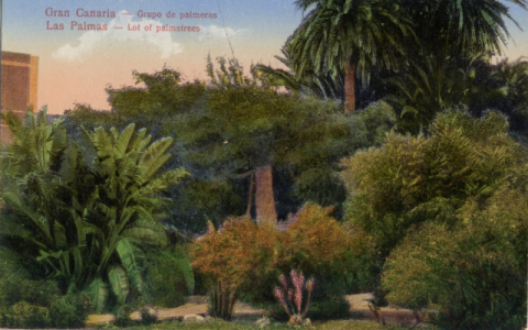JARDINES  HOTEL SANTA CATALINA