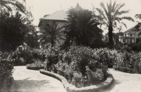 JARDÍNES