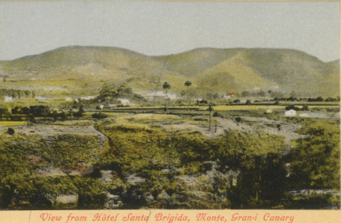 PANORÁMICA DEL MONTE DESDE EL  HOTEL SANTA BRÍGIDA