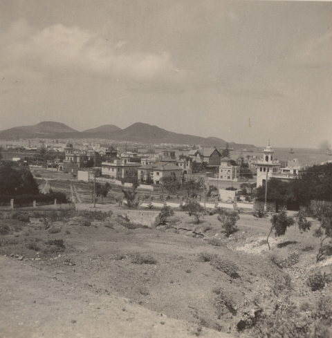VISTA DE CIUDAD JARDÍN