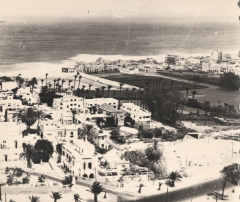 VISTA DEL BARRIO DE ARENALES