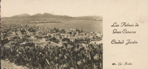 CIUDAD JARDÍN
