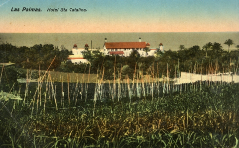 HOTELES Y CAÑAS
