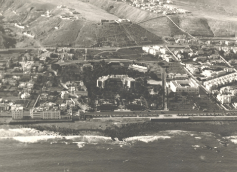 LA COSTA DE LAS PALMAS