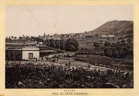 ARUCAS