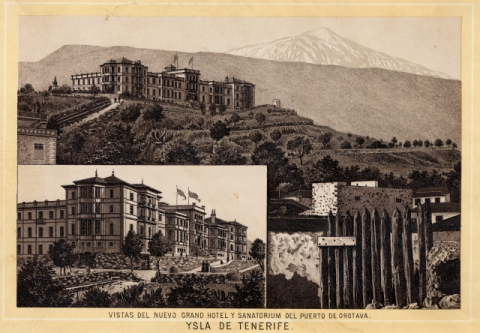 EL TAORO