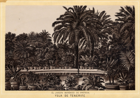 JARDÍN BOTÁNICO