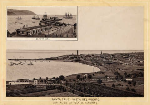 SANTA CRUZ