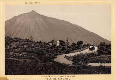 SANTA ÚRSULA