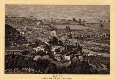 TAFIRA