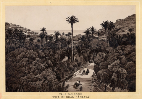 VALLE DE  SAN ROQUE