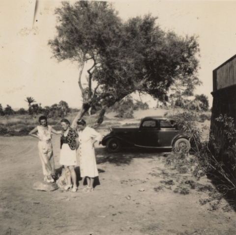 EL COCHE A LA SOMBRA