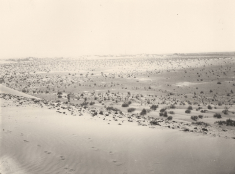 EL PAISAJE DESDE LAS DUNAS