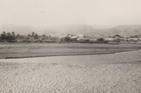 LA CHARCA Y LAS DUNAS
