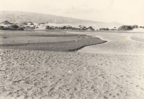 LA CHARCA Y LAS DUNAS