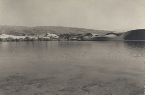 LA CHARCA Y LAS DUNAS