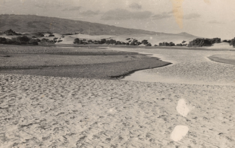 LA CHARCA Y LAS DUNAS