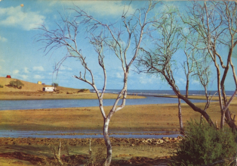 LA CHARCA