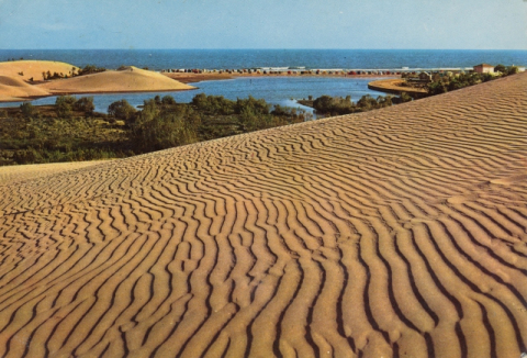 LAS DUNAS IDEALES
