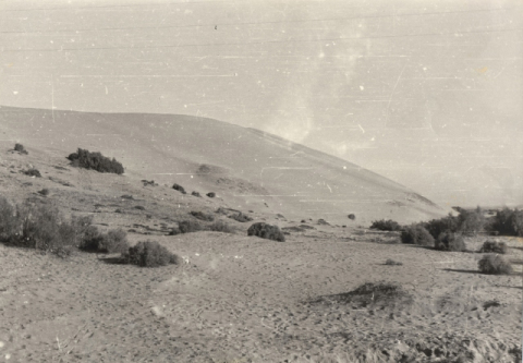 LAS DUNAS