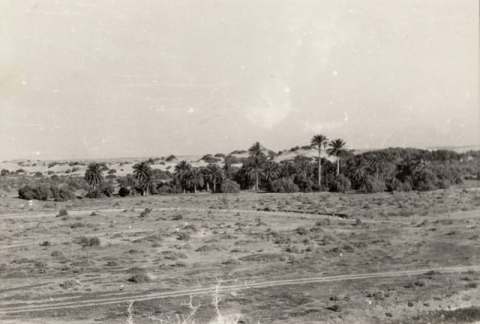 PALMERAL DE MASPALOMAS