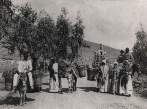 CESTEROS  CAMINO AL MERCADO