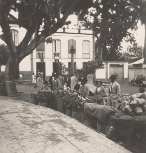 EL MERCADILLO