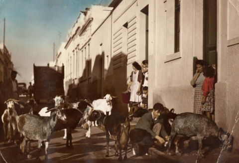 ORDEÑANDO POR LA ISLETA