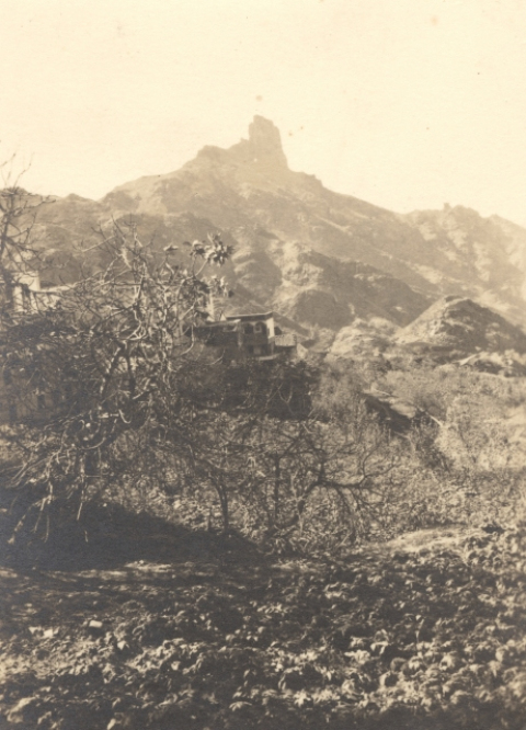 BENTAIGA