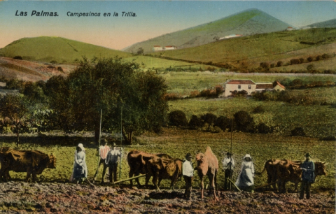 CAMPESINOS EN LA LABRANZA