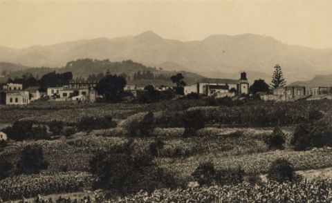 CAMPOS DE MILLO
