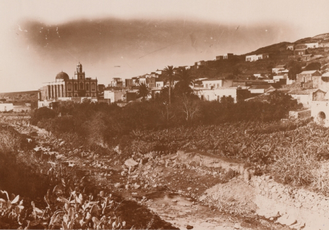 EL HUERTO DE LAS FLORES