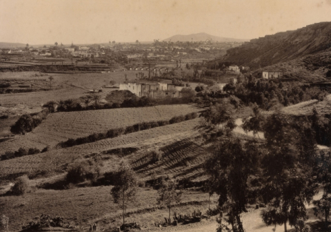 LA VEGA DE TELDE