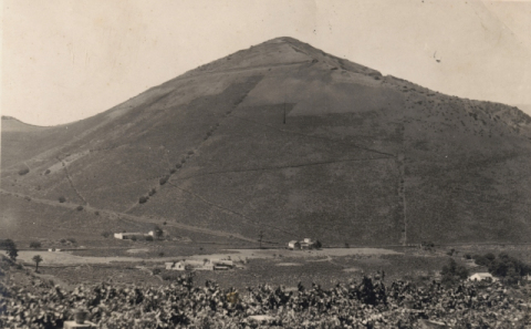 MONTAÑA DE BANDAMA