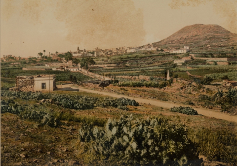 PANORÁMICA DE ARUCAS