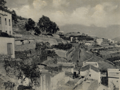 TENOYA