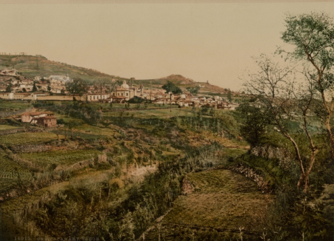 TEROR