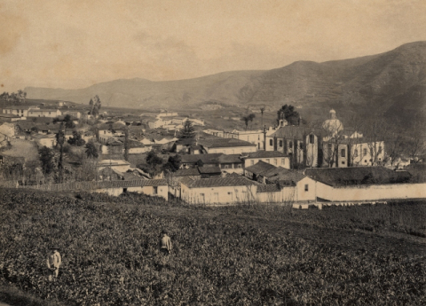TEROR