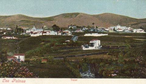 TEROR.