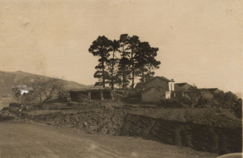 CASA DE LAS PULGAS EN SAN MATÍAS