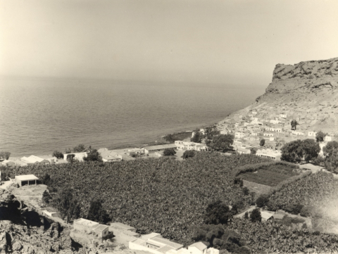 BARRANCO DE MOGÁN