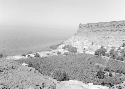 BARRANCO DE MOGÁN