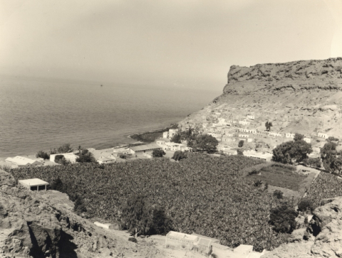 BARRANCO DE MOGÁN