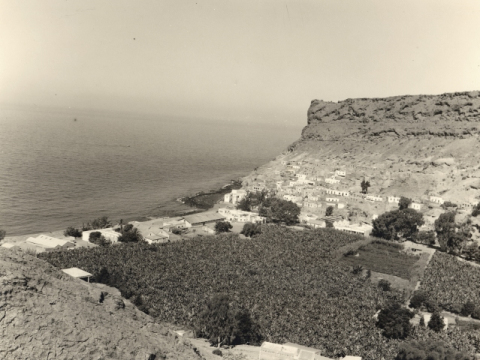 PLATANERAS DE MOGÁN