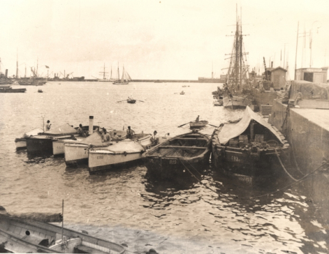 BARQUILLAS EN SANTA CATALINA