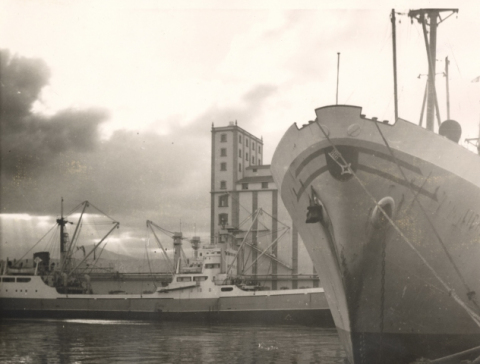 CARGA Y DESCARGA EN EL MUELLE GRANDE